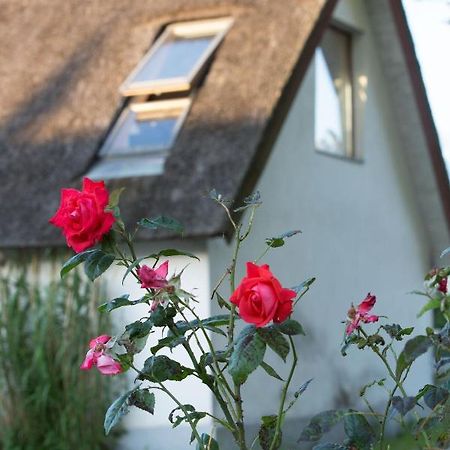 Fridfullt Boende Pa Lantgard Med Underbar Utsikt Malmo Ngoại thất bức ảnh